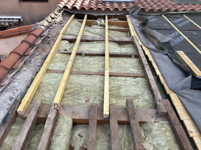 Nettoyage de toiture · Carcassonne