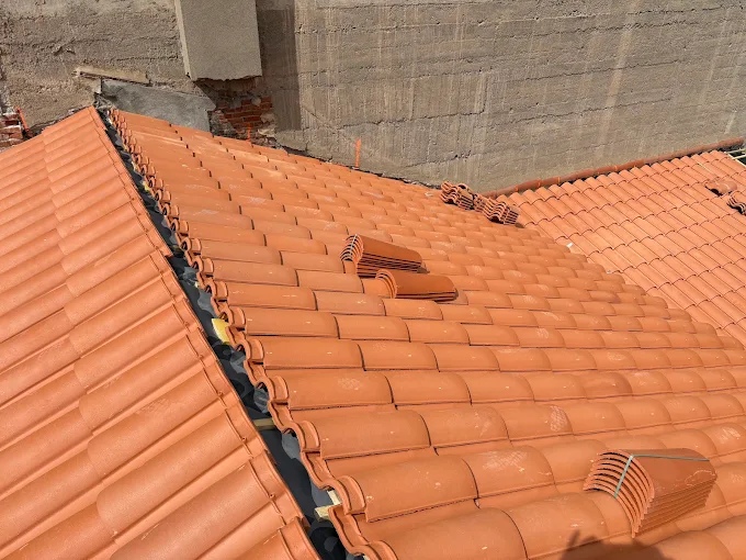 Nettoyage de toiture · Canet-en-Roussillon