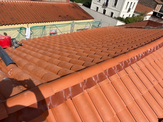 Pose / remplacement Velux · Foix
