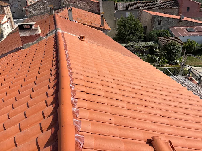 Travaux de zinguerie · Narbonne