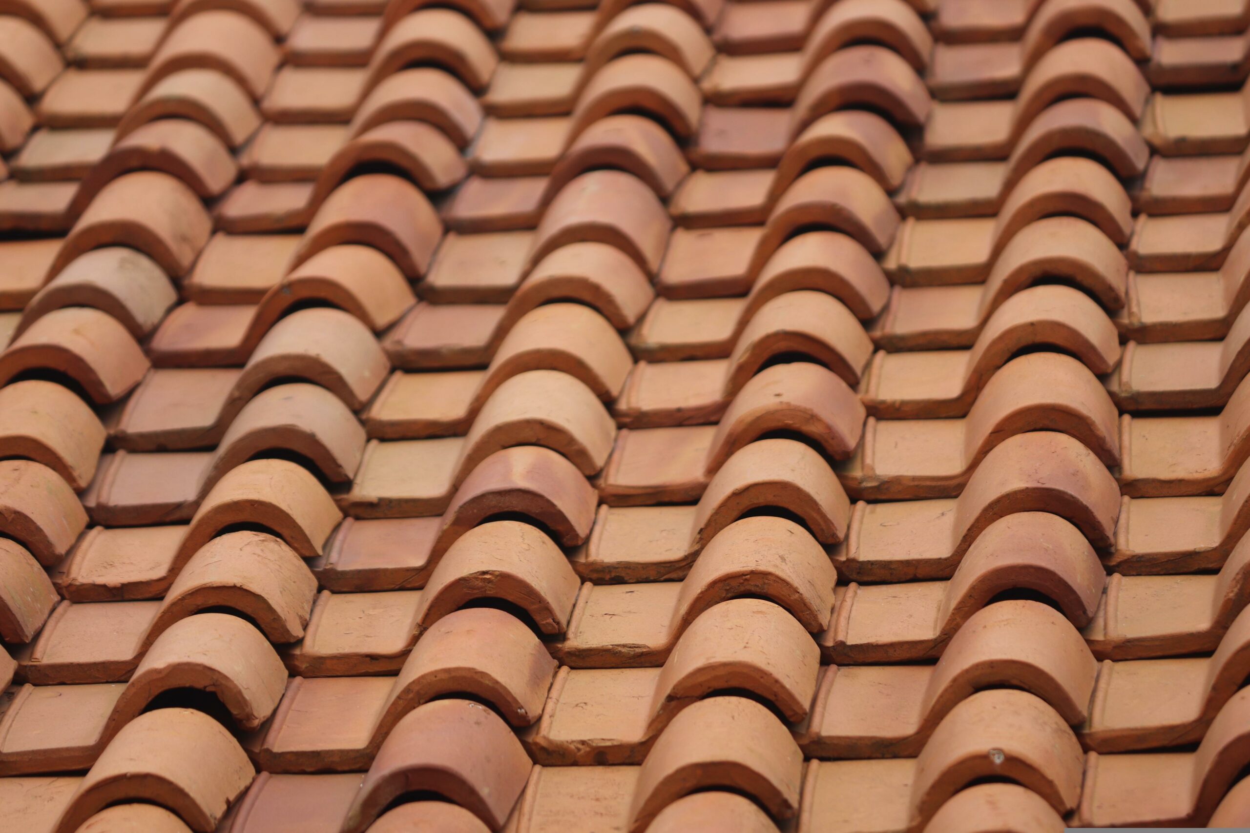 mufidpwt-roof-6540922 ENT Romero